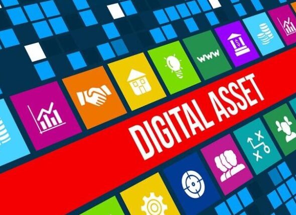 dig-assets-786x440